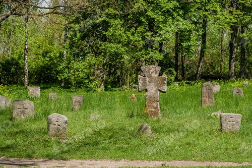 Preview: Ancient stone crosses