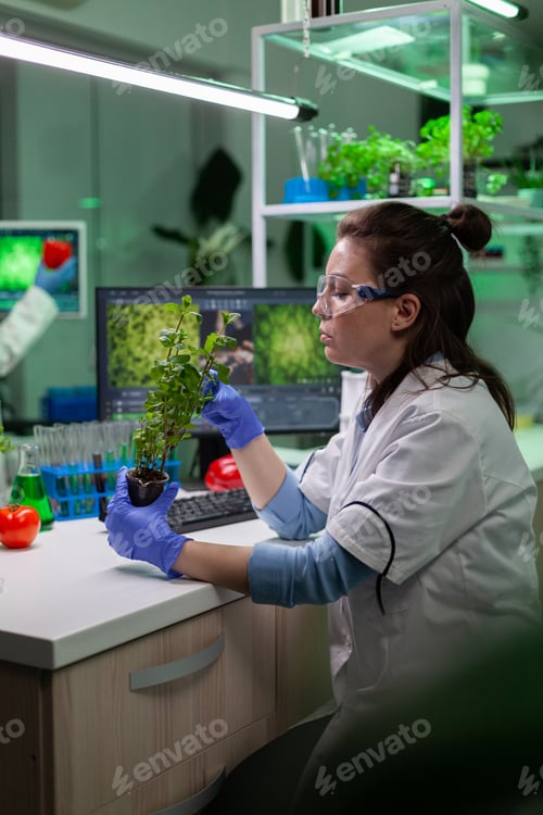 Preview: Chemist researcher analyzing organic sapling working at scientific experiment