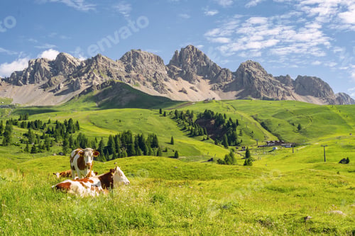 Preview: Scenic landscape with animal on pasture field