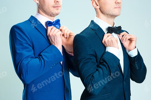 Preview: Portrait Of Handsome And Elegant Business Men