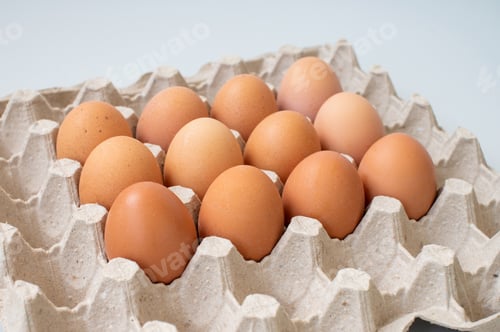 Preview: Square pallet for recycling chicken eggs with red chicken eggs. Side view