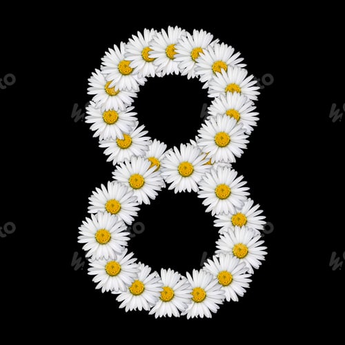 Preview: Flower number 8