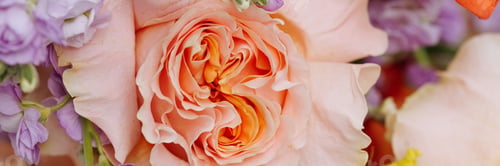 Preview: Colorful bridal bouquet. wedding day, bride accessories