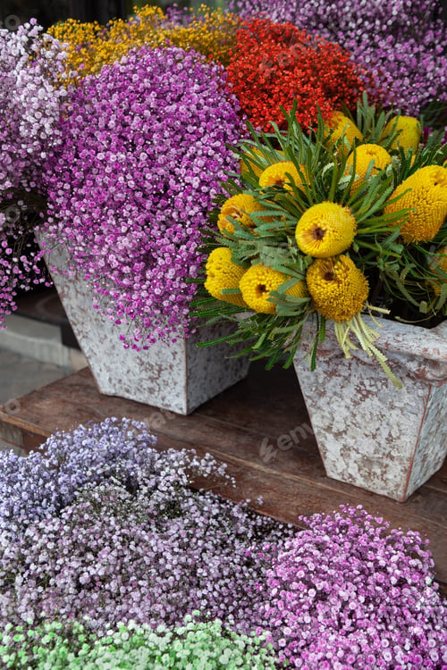 Preview: Colors on the florist stall at the market