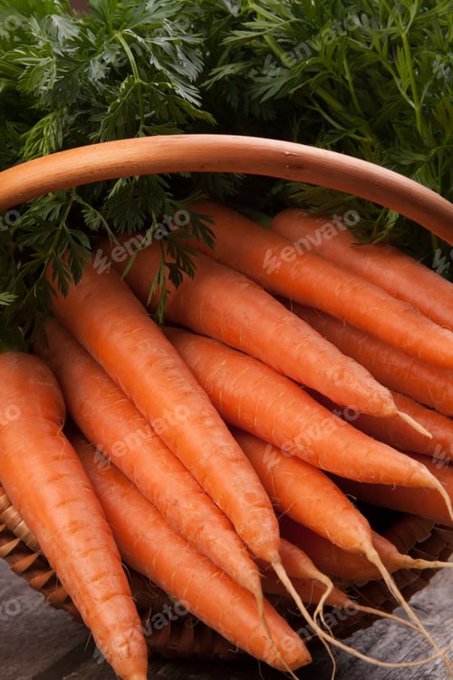 Preview: Fresh Carrots in a Basket with Greenery