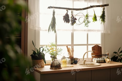 Preview: Row of bunches of dry herbs hanging on snag over kitchen counter
