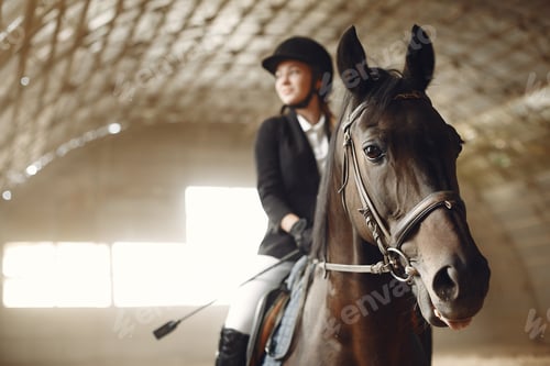 Preview: The rider in black form trains with the horse
