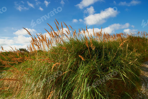 Preview: Beautiful autumn
