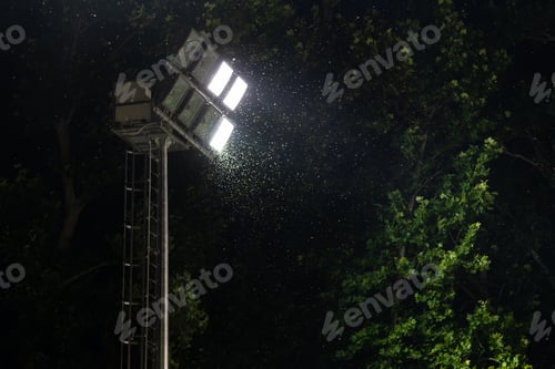 Preview: Swarm of insects and mosquitoes around the lamp of an electric spotlight at night outdoors