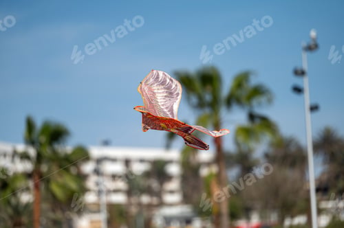 Preview: A vibrant bird-shaped kite glides gracefully in the clear sky over Morocco's coastline.