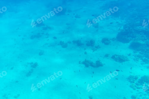 Preview: Expansive view of underwater ocean floor in blue tones
