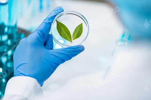 Preview: researcher working in laboratory for medicals science research using scientific equipment technology