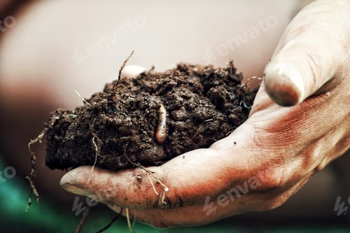 Preview: Hand holding soil with lot of worms and roots