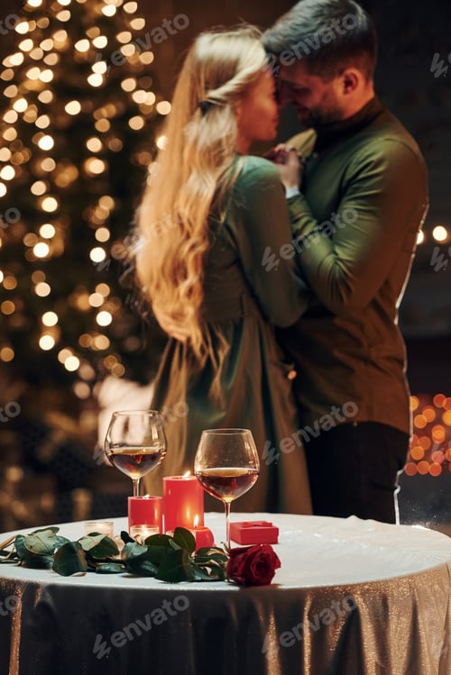 Preview: Standing in the Christmas decorated room. Young lovely couple have romantic dinner indoors together