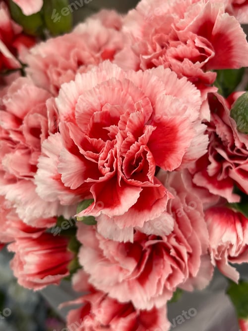 Preview: Flower