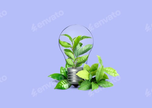 Preview: Saving energy, eco-friendly lifestyle. Fresh green leaves inside of light bulb on violet background