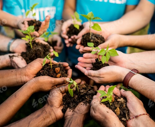 Preview: Group of environmental conservation people hands planting in aerial view