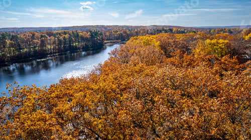 Preview: Aerial view of an autumnal scene of trees on the banks of a Cut River, in Michigan
