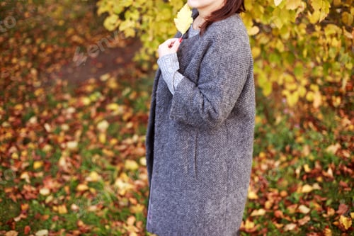 Preview: the girl is walking along the autumn park with a leaf in her hand