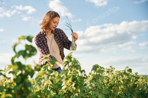 Preview: Single plant in the test tube. Young woman is on the beautiful agricultural field at daytime