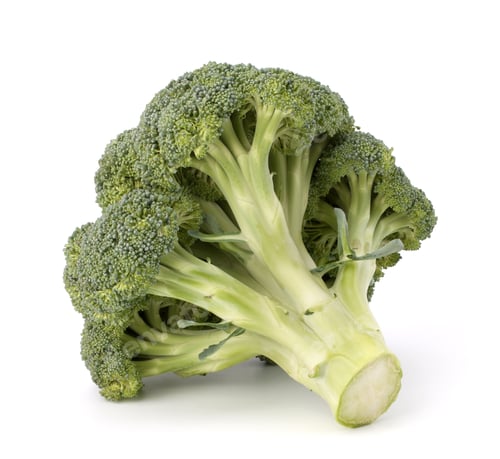 Preview: Broccoli vegetable