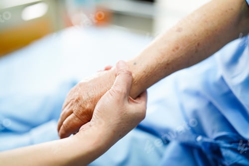 Preview: Holding Touching hands Asian senior or elderly old lady woman patient with love