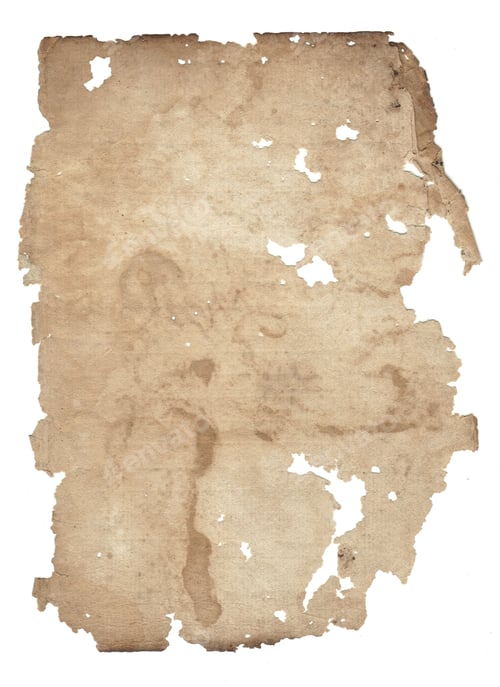 Preview: a blank torn sheet of old paper. It is irregularly shaped with rough, jagged edges and holes