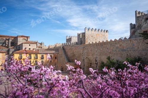Preview: Avila Medieval Walls and Cathedral at Plaza Adolfo Suarez Square - Avila, Spain