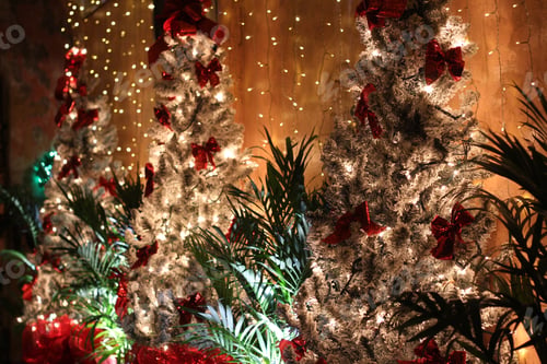 Preview: Merry Christmas