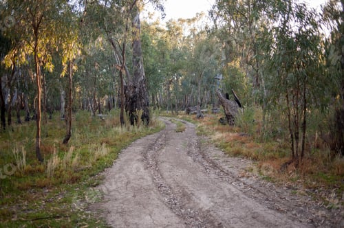 Preview: 4x4 Track Nyah Vinifera Park