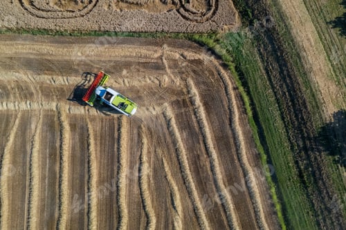 Preview: Aerial shot of harvester machinery collecting wheat grain in hot season in rural cultivated fields