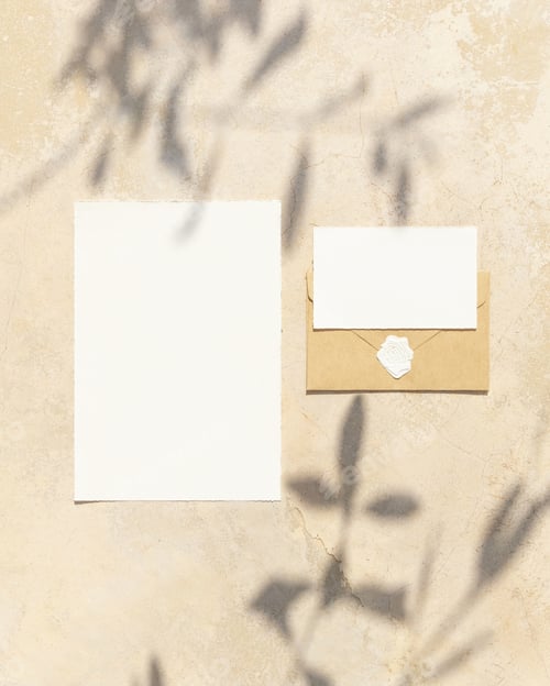 Preview: Blank cards on concrete table with olive tree branches and hard shadows, wedding mockup