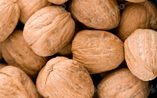 Preview: Walnuts in closeup