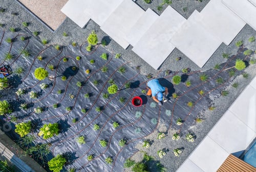 Preview: Gardener Installing Irrigation System in Residential Landscape During Sunny Day