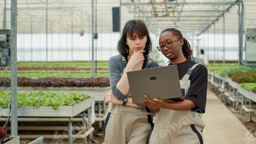 Preview: Two women using laptop for agricultural planning walking and talking about growing lettuce