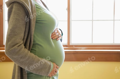 Preview: Expecting mother cradling her belly by the window light