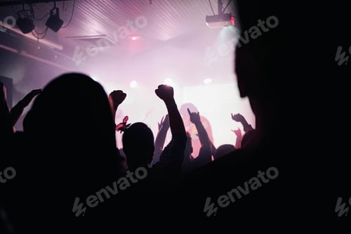 Preview: Group of people partying in front of the stage at night