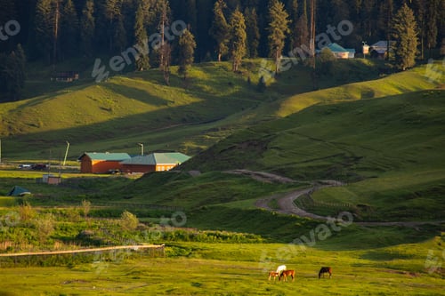 Preview: Gulmarg, known as Gulmarag in Kashmiri, is a town.