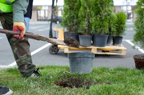 Preview: A uniformed worker digs a hole with a shovel to plant an ornamental tree or bush.