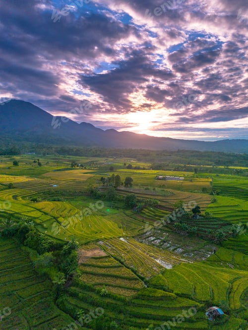 Preview: Beautiful morning view indonesia Panorama Landscape paddy fields