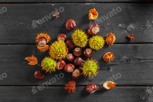 Preview: Chestnuts and conkers gathered on wooden surface during autumn season in the forest