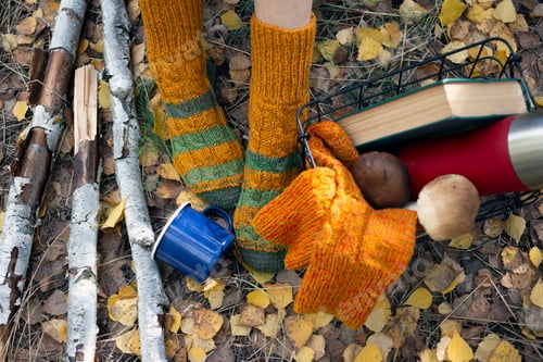 Preview: beautiful autumn still life
