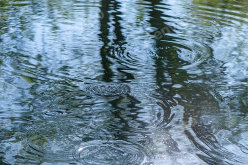 Preview: Circles on the water in the river from the movement of fish, fishing