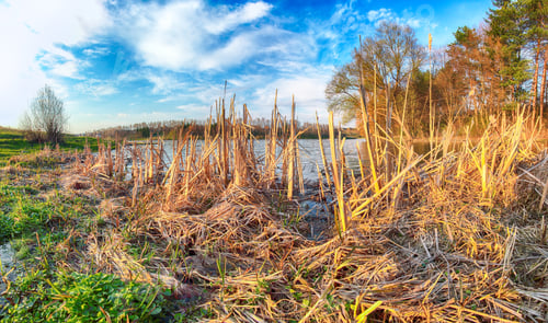 Preview: Sunny day on a calm river during early spring