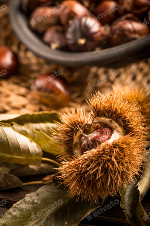 Preview: Roasted chestnuts and leaves