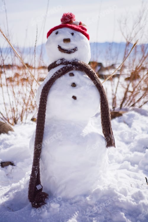 Preview: Smiling snowman with hat and scarf