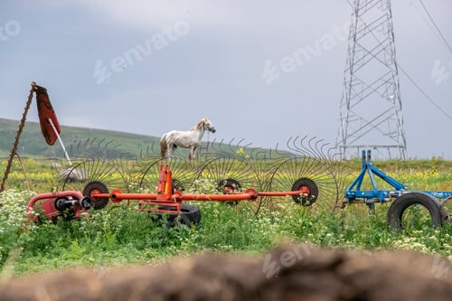 Preview: Eastern Anatolia, Turkey. Cityscape of the Kars town in Kars province