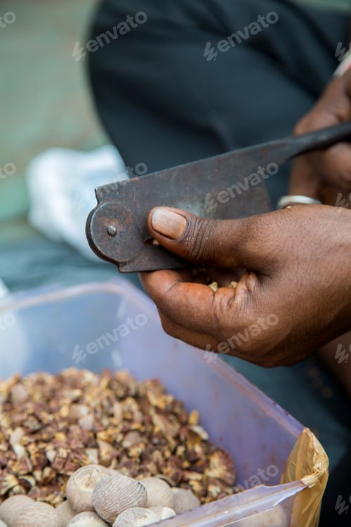 Preview: Man cutting betel nuts on the street of Mumbai, India