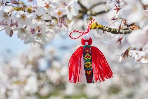 Preview: Bulgarian traditional spring decor Martenitsa on the cherry blossom tree. Baba Marta holiday.