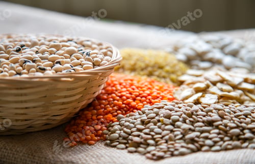 Preview: Healthy Vegetarian Raw Food Legumes